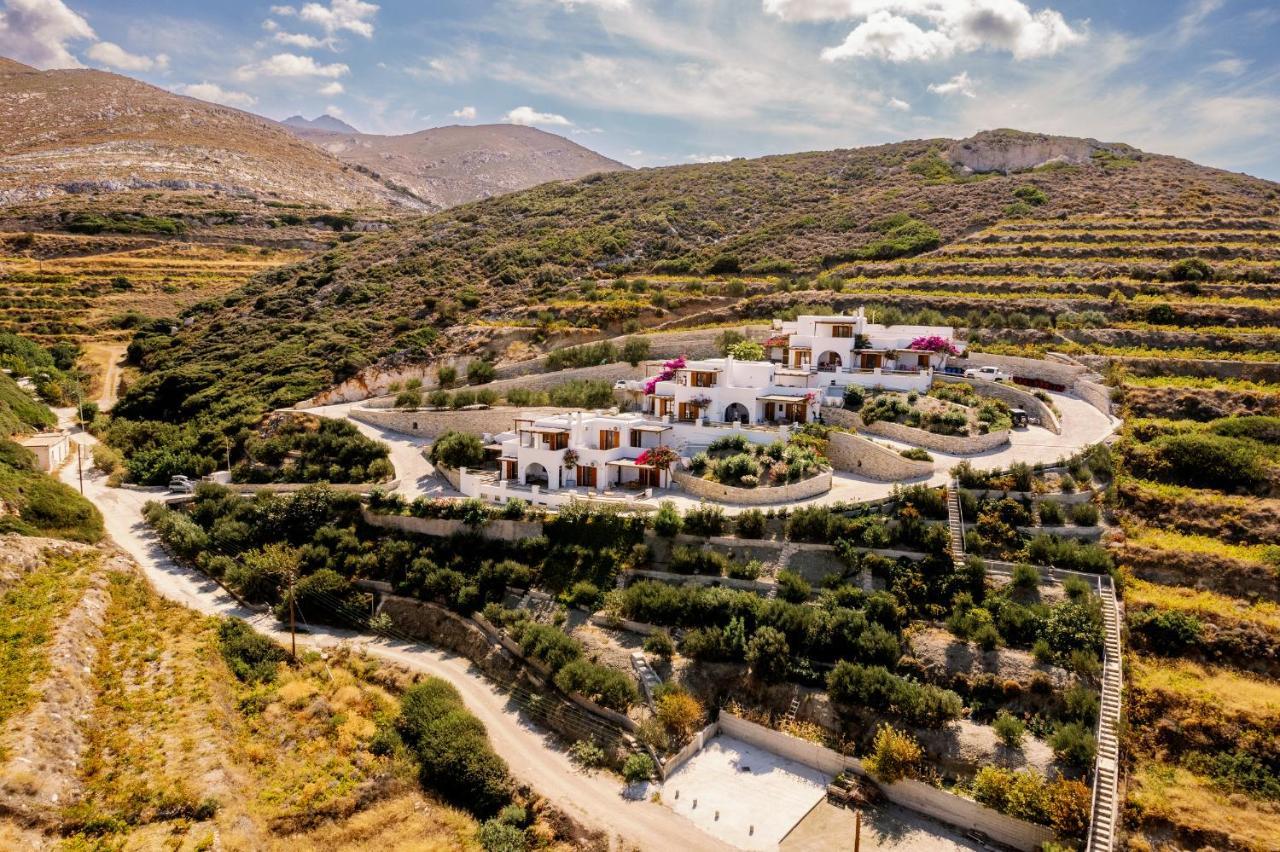 Mikra Bay Vineyard * Faneromeni (Naxos)